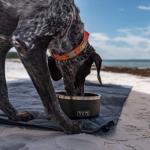 YETI Boomer 8 Non-Slip Stainless Steel Dog Bowl