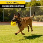 Indestructible Dog Ball for Aggressive Chewers
