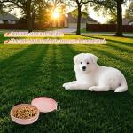 RyanDesign Travel Dog Food & Water Bowl