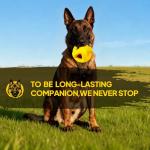 Indestructible Dog Ball for Aggressive Chewers