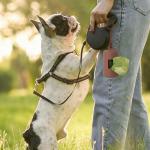 3-Pack Dog Poop Bag Holders for Leash