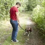 Franklin Pet Supply FETCH-IT Tennis Ball Launcher