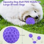 Indestructible Squeaky Balls for Aggressive Chewers