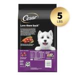 Cesar Gourmet Wet Dog Food - Filet Mignon Flavor
