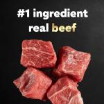 Cesar Gourmet Wet Dog Food - Filet Mignon Flavor