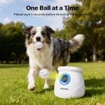 Automatic Dog Ball Launcher for Large Dogs