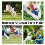 Wodoca Dog Tug Toy for Aggressive Chewers