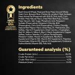 Cesar Gourmet Wet Dog Food - Filet Mignon Flavor