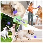 Indestructible Squeaky Balls for Aggressive Chewers