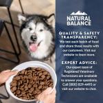 Natural Balance Dry Dog Food with Lamb & Pumpkin