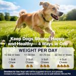 Hip and Joint Supplement Chews for Dogs