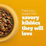 Pedigree Puppy Growth Dry Dog Food, Chicken & Veggies