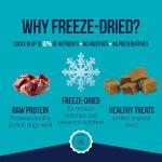 Stewart Venison Liver Freeze-Dried Dog Treats