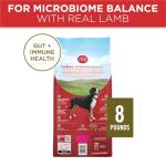Purina ONE SmartBlend Lamb and Rice Dog Food