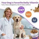 Dog Multivitamin 25 in 1 Chewable Dogs Vitamins Supplements Treats for Pet Omega-3 Glucosamine Vitamin for Puppy Supplies Skin Coat, Heart, HIPS & Joints, Digestion & Immune System 100pcs