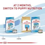Royal Canin Size Health Nutrition Small Starter Mother & Babydog Dry Dog Food, 2.5 lb Bag