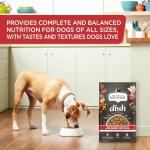 Rachael Ray Nutrish Dish Premium Natural Dry Dog Food, Beef & Brown Rice Recipe with Veggies, Fruit & Chicken, 3.75 Pounds