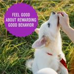 Cloud Star Tricky Trainers Soft & Chewy Dog Treats, Liver, 14 oz. Pouch