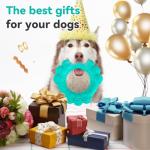 DAOZIJI Indestructible Dog Chews - Super Duty Chew Toys for Aggressive Dogs, Puppy Teething Relief & Interactive Play