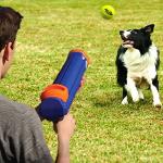 Nerf Dog Tennis Ball Blaster Dog Toy