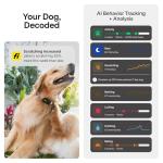 New Fi Series 3+ Smart Dog Tracker Collar [6 Month Membership Included] GPS Tracker for Dogs with Health & Behavior Monitoring, Escape Alerts, Waterproof, LED, Apple Watch Compatible (Pink, Large)
