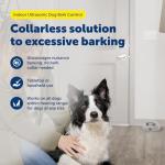 PetSafe Ultrasonic Indoor Bark Control Trainer