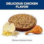 Hill's Science Diet Adult 7+, Senior Adult 7+ Premium Nutrition, Wet Dog Food, Chicken & Barley Loaf, 13 oz Can, Case of 12