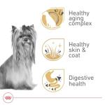 Royal Canin Breed Health Nutrition Yorkshire Terrier 8+ Senior Dry Dog Food, 2.5 lb Bag