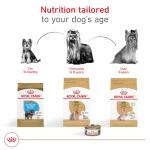 Royal Canin Breed Health Nutrition Yorkshire Terrier 8+ Senior Dry Dog Food, 2.5 lb Bag