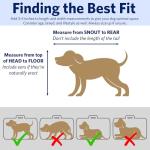 Midwest iCrate 18-Inch Folding Dog Crate