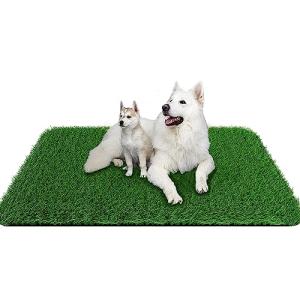 Dog Grass Pad 39.3 x 31.5 Inches - Easy Clean