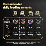 Cesar Wet Dog Food Classic Loaf in Sauce, Duck Recipe, Oven Roasted Chicken Flavor, Grilled Chicken Flavor, and Turkey Flavor, 3.5 oz. Easy Peel Trays, Variety Pack, 24 Count