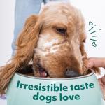 Optimeal Wet Dog Food Small Breed Variety Pack - Grain Free Recipe High Protein Tender Morsels in Aspic Made with Natural Ingredients for Adult Dogs, Premium Nutrition Pouches - 3oz Pouch (Pack of 12)