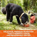 Nature's Recipe Wet Dog Food, Chicken in Broth Recipe, 2.75 Ounce Cup (Pack of 12) Package may vary