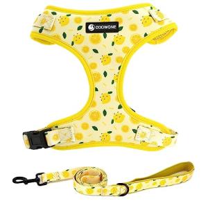 Dog Harness and Leash Set, Adjustable Dog Harness, Dog Leash, No Pull No Choke Puppy Harnesses for Walking Training for Small, Medium Pet (Lemon, S(Chest 13-19", Neck 9.5-13.1"))