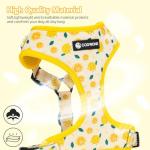 Dog Harness and Leash Set, Adjustable Dog Harness, Dog Leash, No Pull No Choke Puppy Harnesses for Walking Training for Small, Medium Pet (Lemon, S(Chest 13-19", Neck 9.5-13.1"))