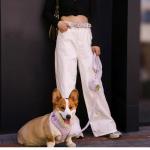 Bobotails Lavender Lace Women Belt – Matching Dog Harness and Leash Set Style,Adjustable Fashion Belt for Pet Moms, Casual & Dress Outfits (Fit Pant 24-29in, Solid)