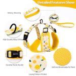 Dog Harness and Leash Set, Adjustable Dog Harness, Dog Leash, No Pull No Choke Puppy Harnesses for Walking Training for Small, Medium Pet (Lemon, S(Chest 13-19", Neck 9.5-13.1"))