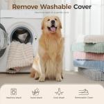 Orthopedic Dog Bed for Large Dog, Waterproof Pet Bed,Non-Slip Bottom and Egg-Crate Foam with Removable Washable Cover Crate Bed,Cream,36"x27"x3"