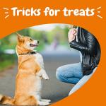 Zesty Paws Training Treats for Dogs & Puppies - Dog Treats for Training - Healthy Dog Chews for Hip, Joint & Muscle Health - for All Breeds and Ages - PB Flavor - 12oz