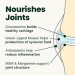 VetriScience Extra Strength Healthy Hip & Joint Chews, GlycoFlex Glucosamine and Green-Lipped Mussel Joint Support Supplement for Small Breed Dogs, Soothe Joint Discomfort, Chicken, 60 Count