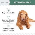 Chew + Heal Labs Glucosamine for Dogs Hip and Joint Supplement - 60 Senior Dogs Mobility Soft Chews - Made with Glucosamine, MSM, Chondroitin, Green Lipped Mussels and More - Made in The USA