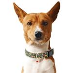 Gelwoo Fall Dog Collar,Soft and Cute Spring Cotton Puppy Collars with Mushroom Patterned Design for Girl Female Boy Dogs,Adjustable Buckle Pet Collar for Small Medium Large Dogs (Green Mushroom, S)