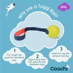 Coachi Tuggi Ball - Interactive Dog Toy for Tug of War & Play. Strong & Comfortable, Stretchy Bungee Handle, Reward Training, Interrupting Biting & Chewing. Ideal for Agility and Suitable for Puppies