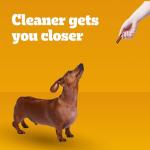 Pedigree Dentastix Small and Toy Breed Dog Treats, Beef Flavor, (7) 24ct Bags (168 Treats Total)