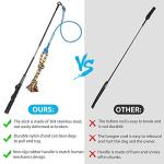 DIBBATU Flirt Pole for Dogs Interactive Dog Toys for Large Medium Small Dogs Chase and Tug of War, Dog Teaser Wand with Lure Chewing Toy for Outdoor Exercise & Training