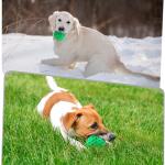 ZRIFAQESW Tough Dog Chew Toys for Aggressive Chewers, Indestructible Dog Balls for Aggressive Chewers, Squeaky Balls for Dogs, Squeaky Toys for Large Dogs, Funny Heavy Duty Ball