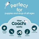 Coachi Tuggi Ball - Interactive Dog Toy for Tug of War & Play. Strong & Comfortable, Stretchy Bungee Handle, Reward Training, Interrupting Biting & Chewing. Ideal for Agility and Suitable for Puppies