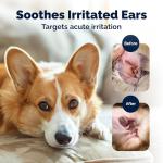 Vetnique Oticbliss Cat & Dog Ear Infection Treatment/Dog Ear Allergy Relief Drops, MicroSilver Yeast Infection Treatment for Dogs, Hydrocortisone for Itching, Redness Swelling (Ear Infection)