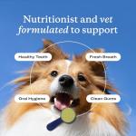 PetLab Co. ProBright Dental Powder - Dog Breath Freshener - Teeth Cleaning Made Easy – Targets Tartar & Bad Breath - Formulated for Small Dogs - Packaging May Vary